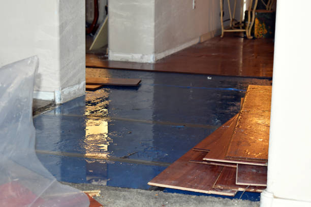 Professional Emergency Water Damage Restoration technician working in New Franklin, OH